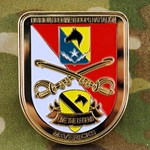 Division Special Troops Battalion, Mavericks, 1st Cavalry Division, Type 1