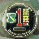 Task Force 2nd Battalion, 63rd Armored Regiment, Type 1