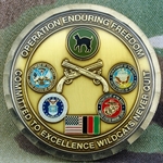 Task Force Gator, Afghanistan 2007-2008, Type 1