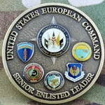 U.S. European Command, Senior Enlisted Leader, Type 1