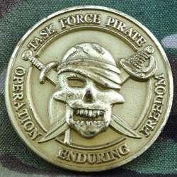 Task Force Pirate, OEF 5, Type 1