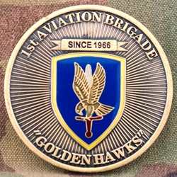 1st Aviation Brigade, Golden Hawks, CSM, Type 1