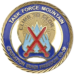 Task Force Mountain, 10th Mountain Division, Type 1