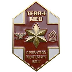 804th Medical Brigade, Type 1