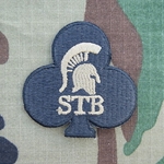 1st Brigade Combat Team, "Bastogne" Club, Special Troops Battalion