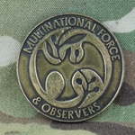 Multinational Force and Observers