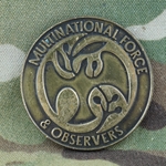 Multinational Force and Observers