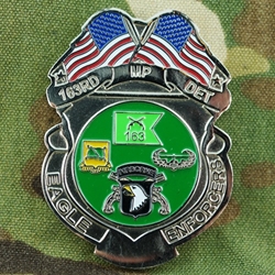 163rd Military Police Detachment