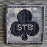 Helmet Patch, Special Troops Battalion, 1st BCT, ACU, Old Type