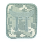 Helmet Patch, 187th Infantry Regiment, ACU, Type 4