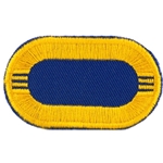 Patch, 101st Airborne Division Without Tab, Color