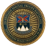 2nd Brigade Special Troops Battalion, 10th Mountain Division, Type 1