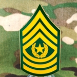 1st Battalion (Attack), 25th Aviation Regiment, CSM, Type 1