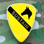 Assistant Division Commander, Support, 1st Cavalry Division, Type 1