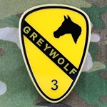 3rd Brigade Combat Team, Greywolf, 1st Cavalry Division, Type 1