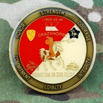 C, 4th Battalion, 9th Cavalry Regiment, Type 1