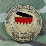 115th Brigade Support Battalion, "Muleskinners", Type 3