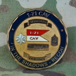 1st Squadron, 71st Cavalry Regiment, Type 1