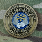 6th Squadron, 6th Cavalry Regiment, Type 1