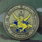 1st Squadron, 9th Cavalry Regiment, Type 1