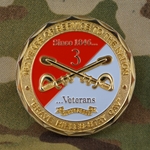 3rd Cavalry Regiment, Brave Rifles, Type 1