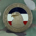 U.S. Army Forces Command (FORSCOM), CSM, Type 2