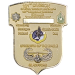 101st Division Special Troops Battalion "Gladiators", Type 1