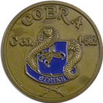 Cobra Company, 1st Battalion, 502nd Infantry Regiment "Strike" (♥), Type 1