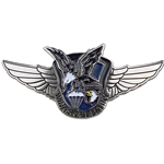 HHC, 101st Combat Aviation Brigade "Wings of Destiny", Type 1