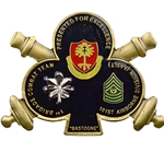 2nd Battalion, 320th Field Artillery Regiment, "Balls of the Eagle" (♣), Type 9