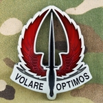 U.S. Army Special Operations Aviation Command (USASOAC), Type 2