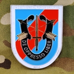 20th Special Forces Group (Airborne), Type 2