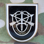 1st Battalion, 5th Special Forces Group (Airborne), Type 4