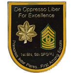 1st Battalion, 5th Special Forces Group (Airborne), Type 6