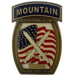 Task Force 1st Battalion, 87th Infantry Regiment , 10th Mountain Division (LI), Type 1