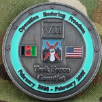 Task Force Gauntlet, 10th Mountain Division, Type 1