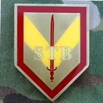 Special Troops Battalion, 1st Infantry Division, Type 1