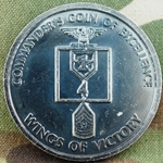 4th Brigade, 1st Infantry Division, Dragons, Type 1