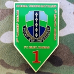 Special Troops Battalion (STB), 2nd Brigade, 1st Infantry Division, Dagger Brigade, Type 1