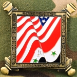 Bushmasters, 1st Brigade, 3rd Infantry Division, Type 1