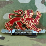 308th Brigade Support Battalion, Type 1