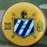 E Company, 703rd Brigade Support Battalion, Type 1