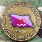 National Guard Bureau, Chief, Type 2