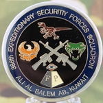 387th Expeditionary Security Forces Squadron, Type 1