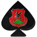 4th Brigade Special Troops Battalion, 4th Brigade Combat Team, 2 5/16" X 2 7/16"