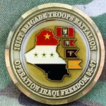 101st Brigade Troops Battalion, "One Team One Fight", Type 3