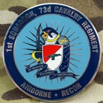 1st Squadron, 73rd Cavalry Regiment, Type 1