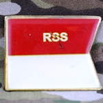 RSS, 2nd Armored Cavalry Regiment, Type 1