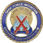 Task Force Mountain, 10th Mountain Division, Type 1