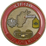 LTF 129th Corps Support Battalion "Drive the Wedge", Type 14